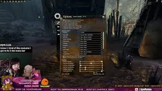 GW2 Dynamic HUD