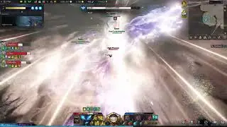 [Lost Ark] Night Fox Yoho Paladin POV