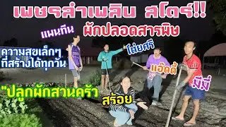 “ปลูกผักยามเย็นเอ็นดูพืชผลสวยงามตามเรื่อง!!#หมอลำเพชรลำเพลิน 