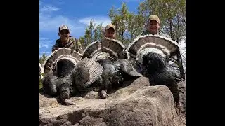 Martin Brothers Get Their Goulds in Mexico