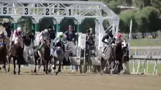 Thoroughbreds: Elevating our lives on and off the track
