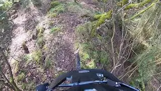 YT Capra comp 2020