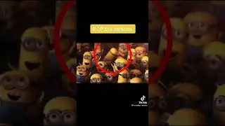 WTF