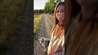 Springtime evening walk on the Swedish countryside. I&rsquo;m enjoying this new season with more sunlight.