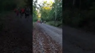 Athens Eureka Trail run