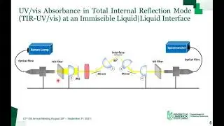 Self-Assembly & Electrochemistry of Porphyrin Nanostructures at Electrified Liquid-Liquid Interfaces