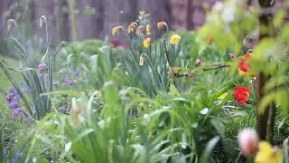Сильный дождь Шум дождя Для Медитации И Снятия Стресса Meditation Music  Nature Sounds #kunz #relax
