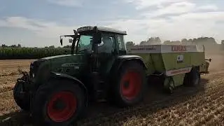 Weizenstroh 2025 / Gro&szlig;packen pressen mit Fendt 818 Vario / CF Agrarservice Seitle & Imminger