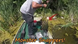 Turtle Trapping Ohio Public Land Swamps! (More Monsters) P.2