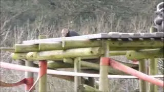 Monkey World