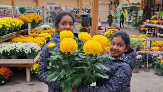 Thenmozhi et ashrutha  Halloween  01/11/2025