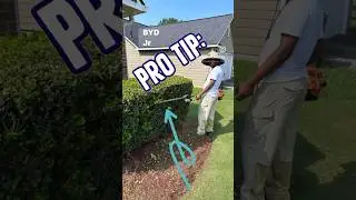 PRO Hedge Trimming TIP