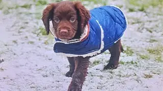 Rilley gets a much needed jacket 