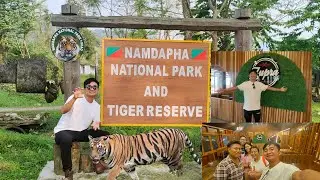 Exploring Namdapha National Park | Tiger Reserve #milingjakhamho #nationalpark #miao