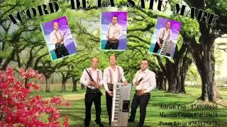 Acord de la Satu Mare - mai ti minte mai draga marie