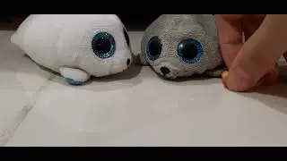 Seamore and Snowball Eating Fish Cookies 😋🐟🍪