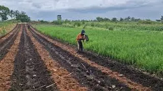 FAST AND EASY PLANTING BEDS USING A SMART TRADITIONAL TOOL - Agriculture Tools