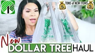 DOLLAR TREE HAUL TONS OF NEW FINDS! What's NEW at the DOLLAR STORE 2019?!?! Sensational Finds