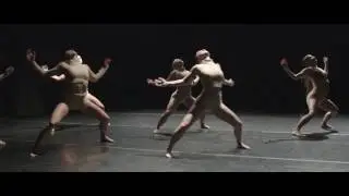 Emergence