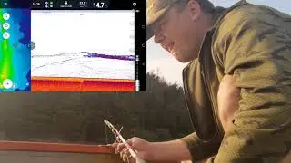 DEEPER CHIRP 2+ VÁBNIČKA   (rozpoznání kapra od sumce)
