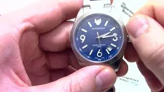 Часы Swiss Eagle SE-9058-33 - видео обзор от PresidentWatches.Ru