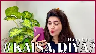 Dear Digital Content Creators Of Pakistan - Youtube VS TikTok | GLOSSIPS