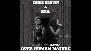 Too Late X She Ain’t You Mashup ( Chris Brown Ft Sza ) Michael Jackson Human Nature Remix (JAWDZ)