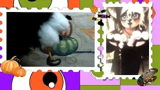 FURRY PAINTING A FALL THEME TABLECLOTH | HALLOWEEN | #furryartist #furry  #paint