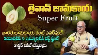 తైవాన్ జామ vs ఇండియన్ జామ | Taiwan Gauva VS Indian Gauva | Health benefits | Dr. CL Venkat Rao