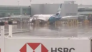 WestJet 787 at Gate at Toronto Pearson airport (YYZ)