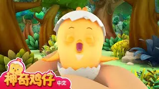爸爸大力 | 4集系列 | 拍拍拍可莫 | 家庭之爱 | 温暖故事