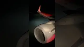 #Super #Foggy #Boeing #737 #IFR #night #Landing #aviation