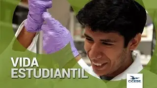 VIDA ESTUDIANTIL   Posgrados CICESE