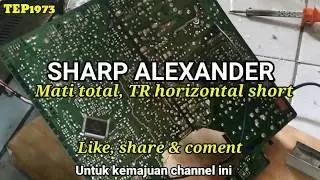 TV TABUNG SHARP ALEXANDER 21', MATI TOTAL