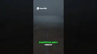 Мы сбежали от монстра!