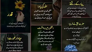 Amazing 👌 Quotes collection/ Nice 💞 💞 💞 words Quotes in urdu/ Words Nayab/