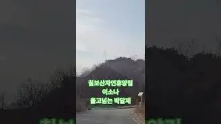 칠보산 자연휴양림. 이소나. 울고넘는 박달재.Chilbosan Natural Recreation Forest. Lee So-na. Bakdaljae Pass. Korea.