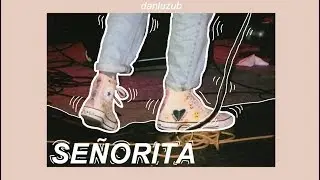 Temple Sour // Señorita ; Letra ☆彡
