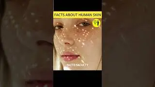 😱😳 5 Amazing Facts About Human Skin !! You Must Know 😱😱 #shorts #factsfaculty