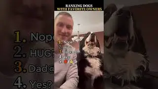 TRY NOT TO LAUGH! 🐾 Top 10 Funniest Pet Pranks of 2026