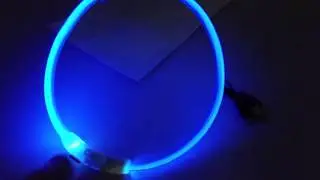 Demo: LED-Hundeleuchthalsband per USB aufladbar - Leuchtschlauch