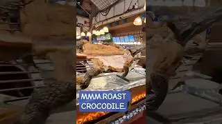Roast Crocodile? You first... #crocodile  #expatlife #femaleexpat #expatlifestyle
