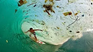 How does climate change affect animals | Climate Change Explained | Sad image of global warming