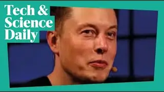 Elon Musk leads AI pause calls over 'society risk' ...Tech & Science Daily podcast