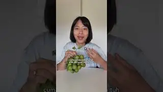 Ada ya g pernah coba buah ini? #quenepa #guinep #momoncillo #limoncillo #spanishlime
