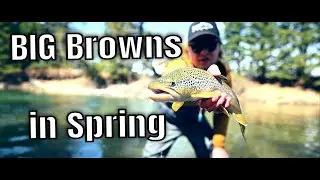 Spring Time Fly Fishing for BROWN TROUT. A CINEMATIC Fly Fishing Film.