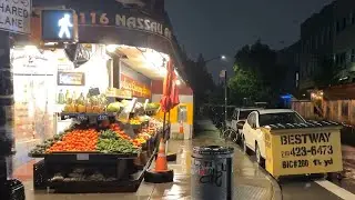 Rant About The Frustrations of Running a Youtube Channel while walking in the rain #Brooklyn