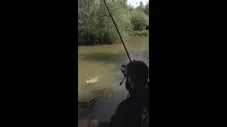 A bite in MINUTES 🤯