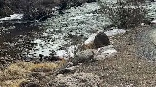ASMR Water Stream Plus Sound of the Wind #asmr #waterstreamsounds #windsounds