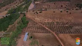 LUCIANA (Ciudad Real)